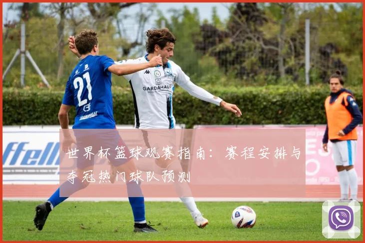 世界杯篮球观赛指南：赛程安排与夺冠热门球队预测