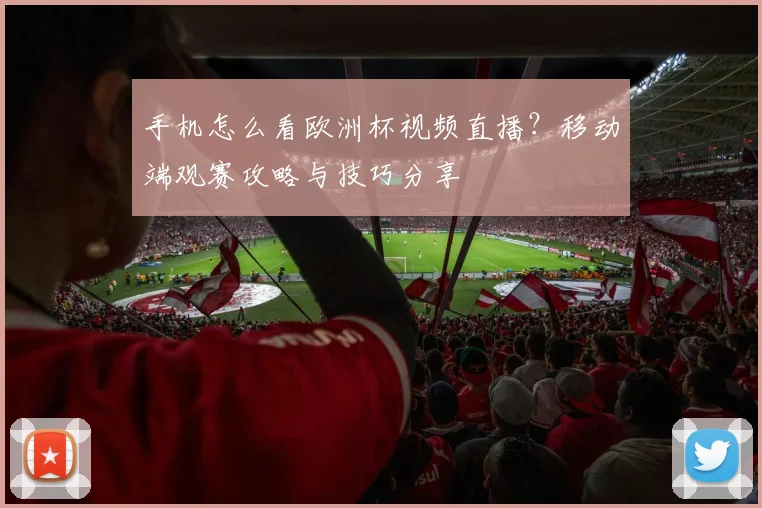 手机怎么看欧洲杯视频直播？移动端观赛攻略与技巧分享