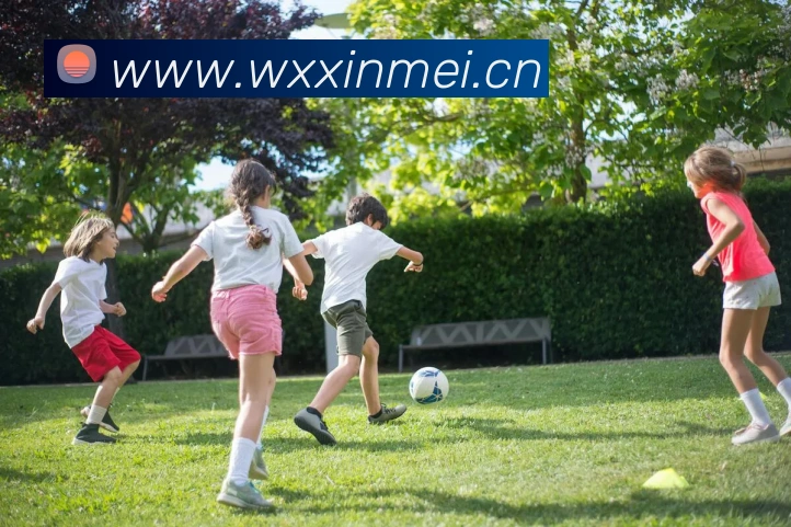 东升国际手机版下载服务体系